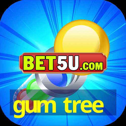 gum tree